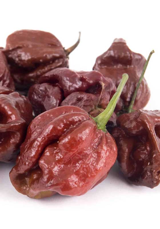 Chilli Today, Hot Tamale: 5 of the Hottest Chilli Peppers in the World!