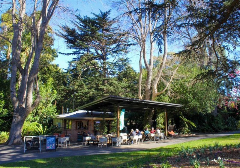 Relaxed Eats in Beautiful Settings You’ll Want to Linger Over