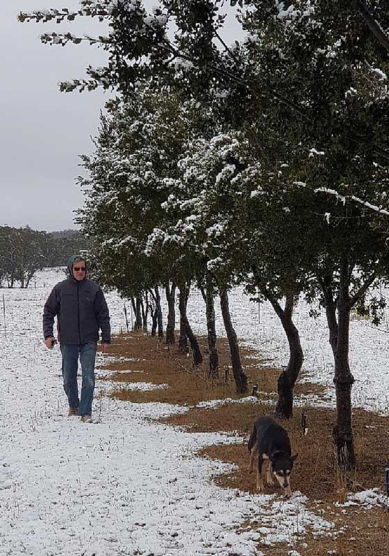 Everybody’s Truffling: Where to Experience a Truffle Hunt and Taste Test this Season