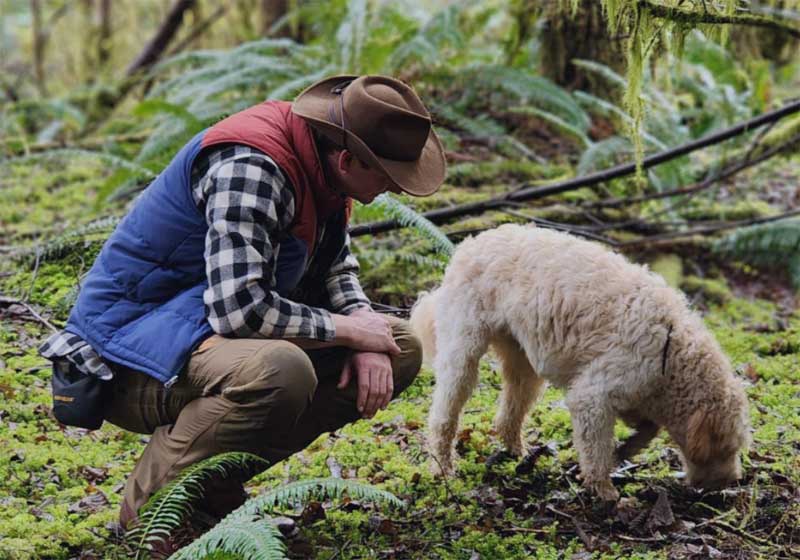 Everybody’s Truffling: Where to Experience a Truffle Hunt and Taste Test this Season