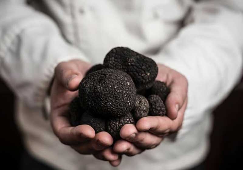 5 Easy Ways to Put Truffles on Your Plate!