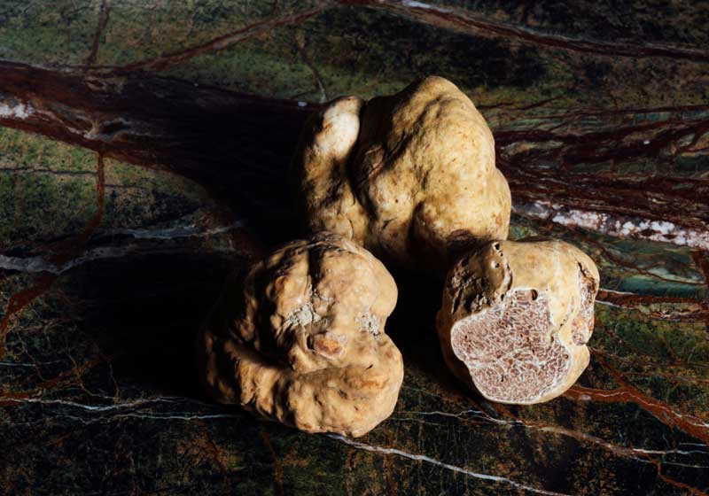 Best Wines to Pair with Truffle Dishes