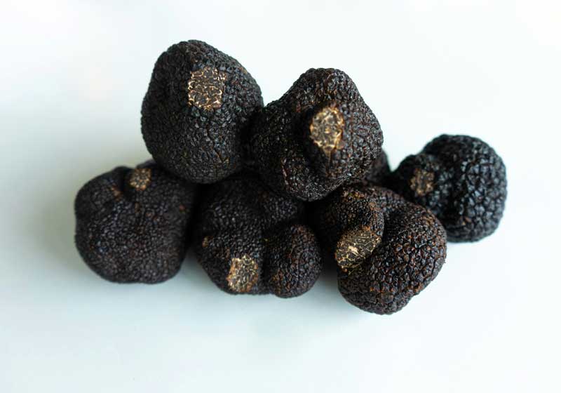 Best Wines to Pair with Truffle Dishes