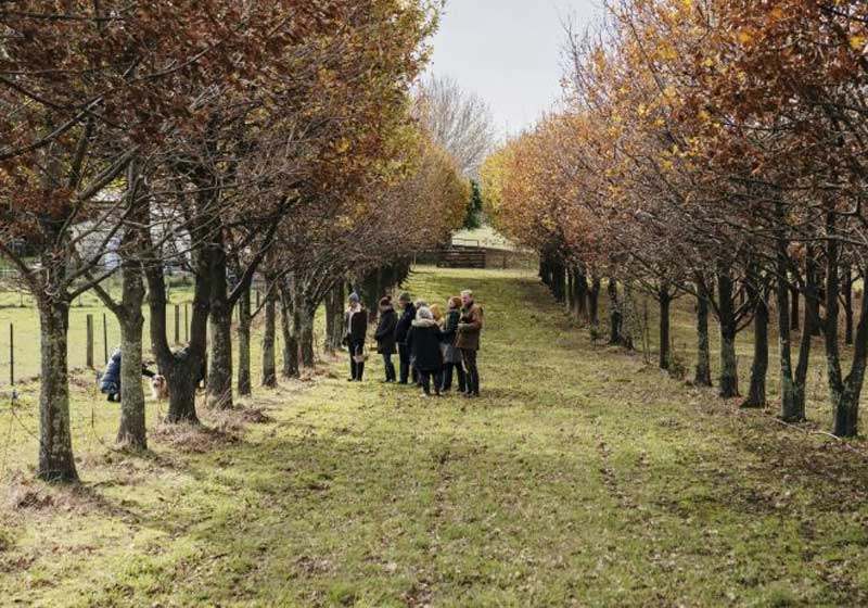 Spend a Day in the Life of a Tasmanian Truffle Hunter