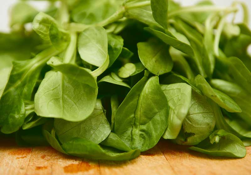Fresh and In Season + 3 Recipes