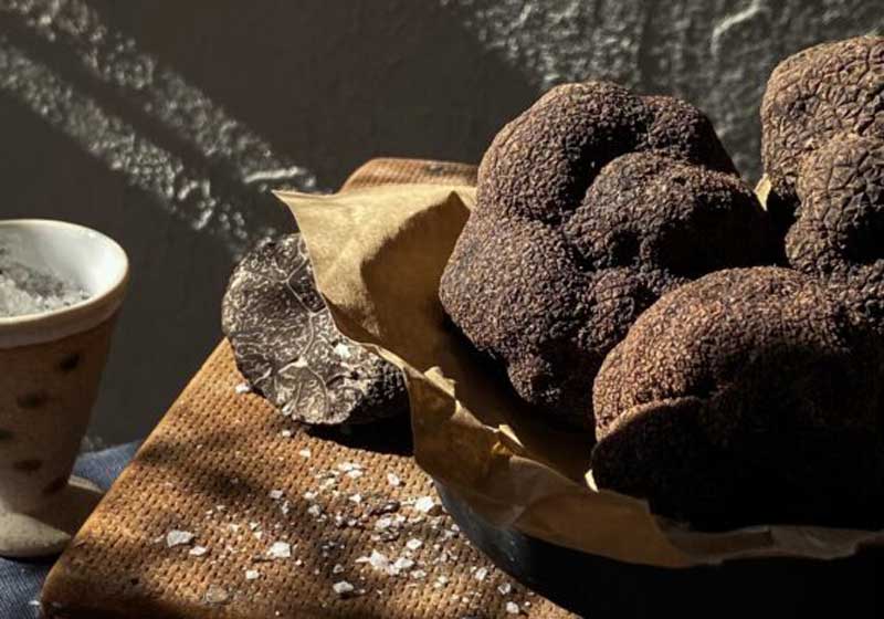 Truffles – the Edible Treasures of the Culinary World