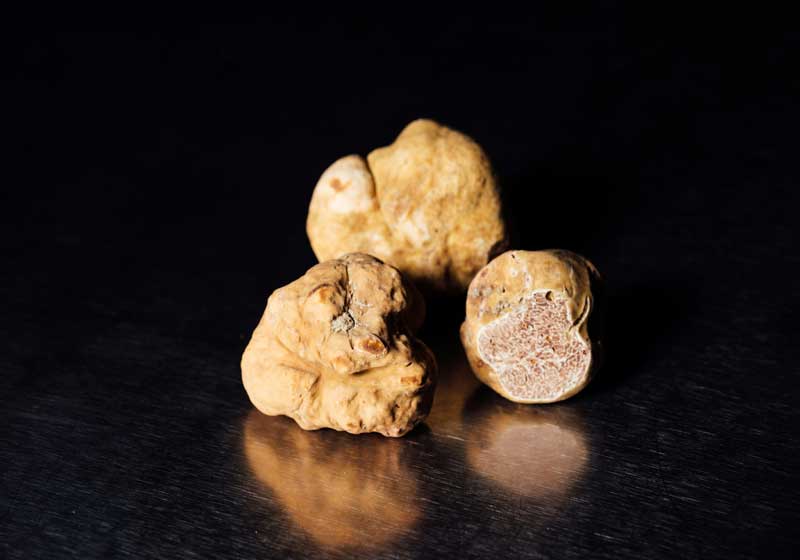 Have Truffle. Will Travel: The Best Spots to Hunt Down Truffles Around the World
