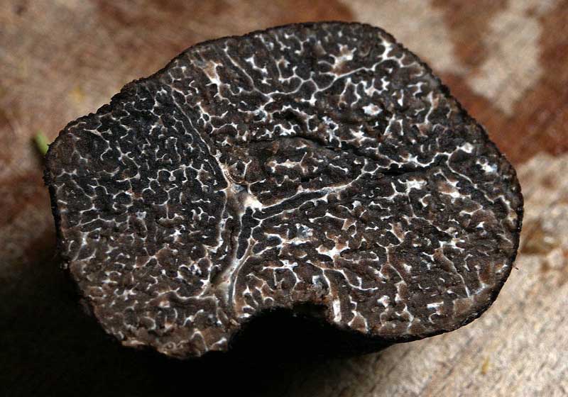 Have Truffle. Will Travel: The Best Spots to Hunt Down Truffles Around the World