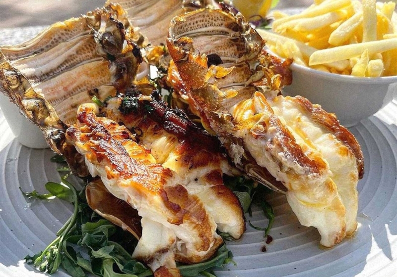 From Coastal Classics to Waterfront Fine Dining: Australia’s Best Seafood Experiences