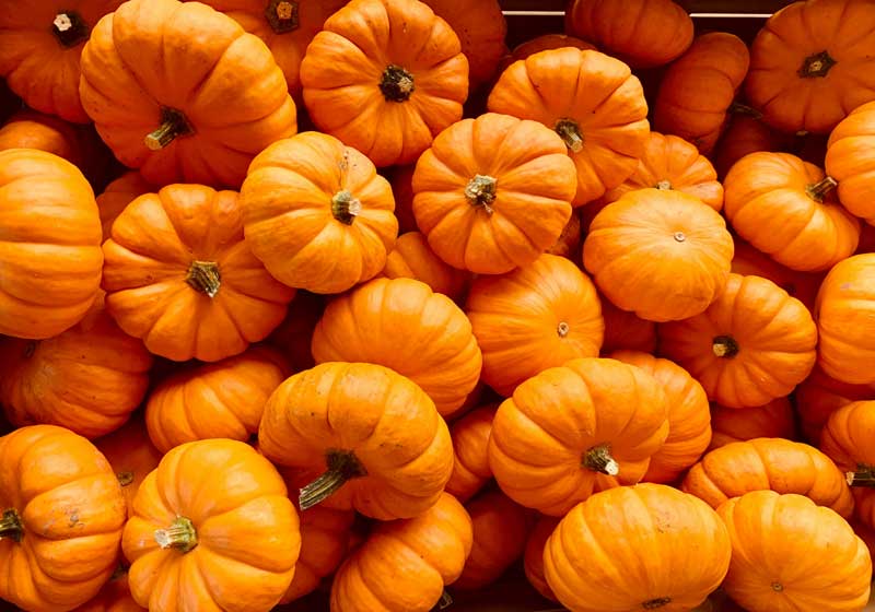 Fresh and In Season + 3 Recipes