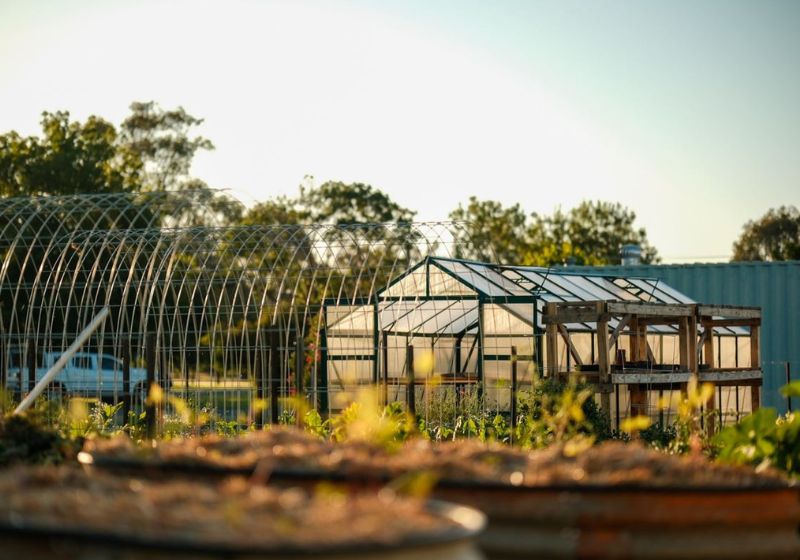 Into the Wild: Restaurants that Feel Like an Escape