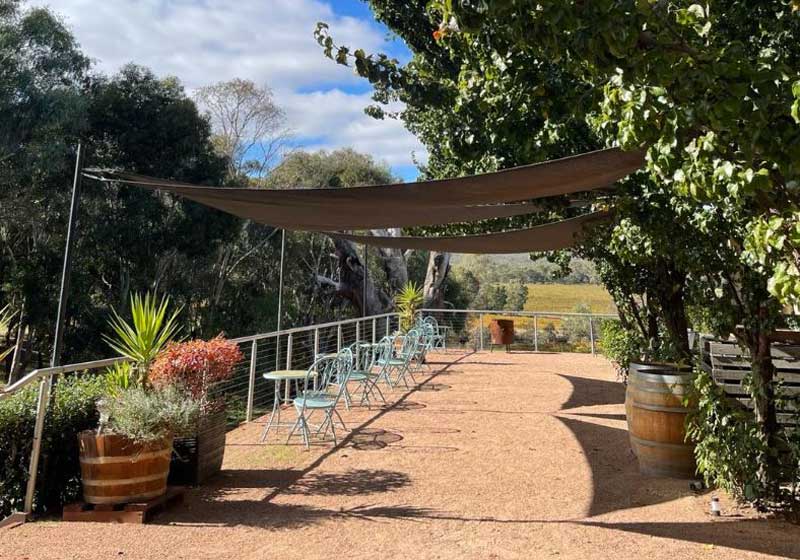 Discover these 4 RCA-winning Wineries for Your Next Grape Adventure