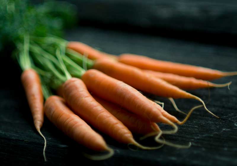 What to Plant for Winter from Veggies to Herbs and Flowers