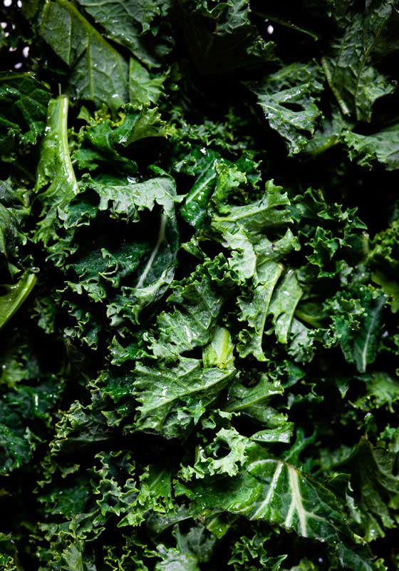 What to Plant for Winter from Veggies to Herbs and Flowers