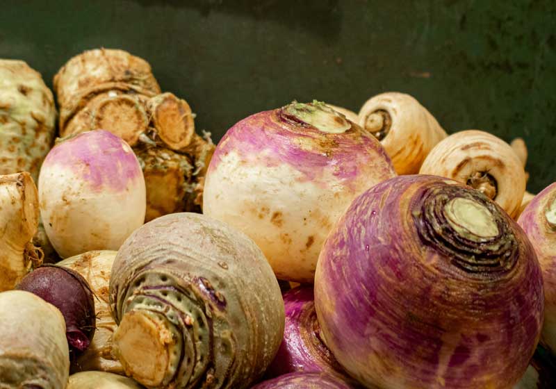 What to Plant for Winter from Veggies to Herbs and Flowers