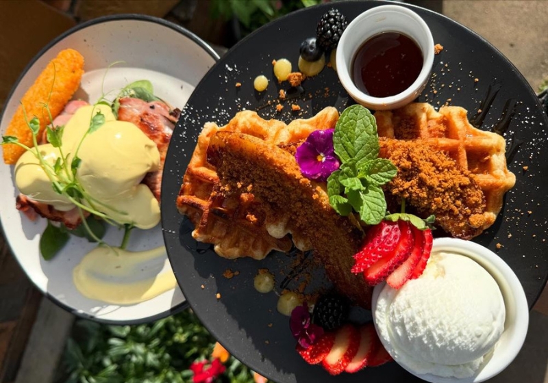 From Reef to Range: The New Taste of Tropical North Queensland