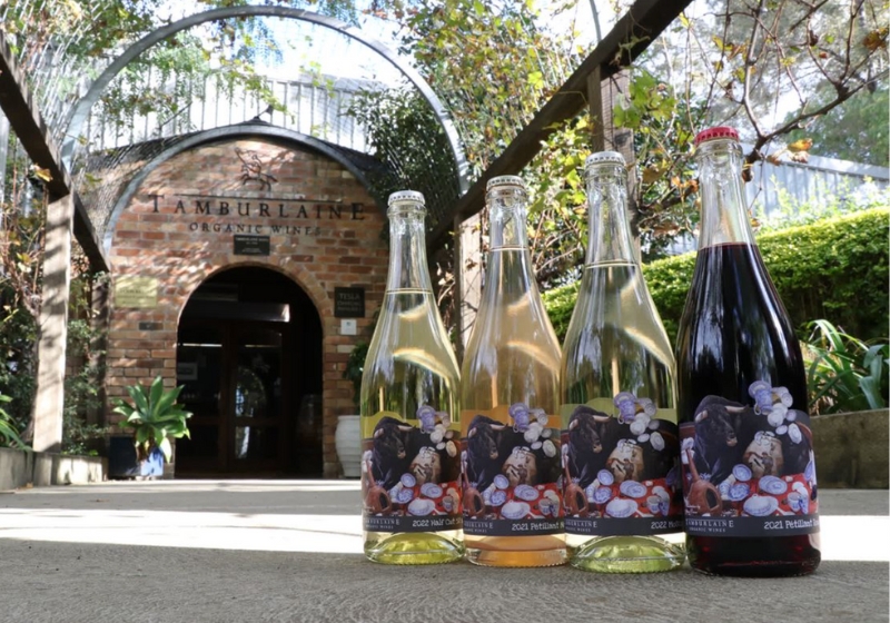 Restaurants Built Around Natural Wine and Sake: A Refined Journey of Fermentation and Flavour