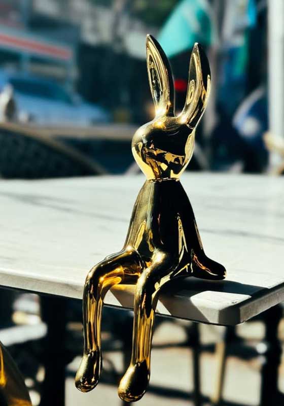 Look What’s New – Velveteen Rabbit!