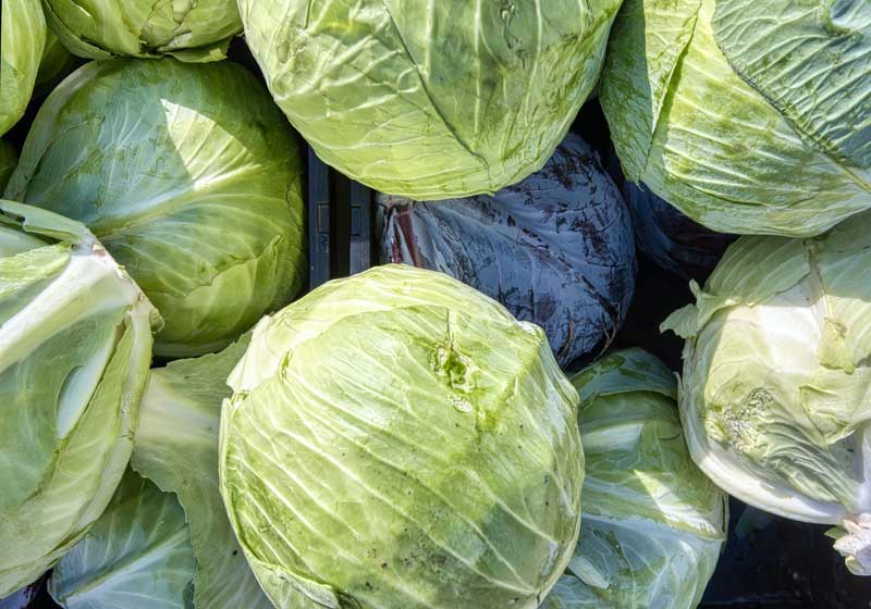 Fresh and In Season + 3 Recipes