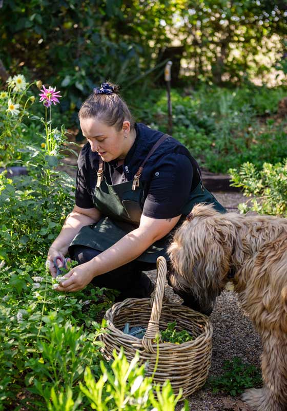 One Flew Over the Magpies Nest: Chef Chat with Amy Pellizzoni