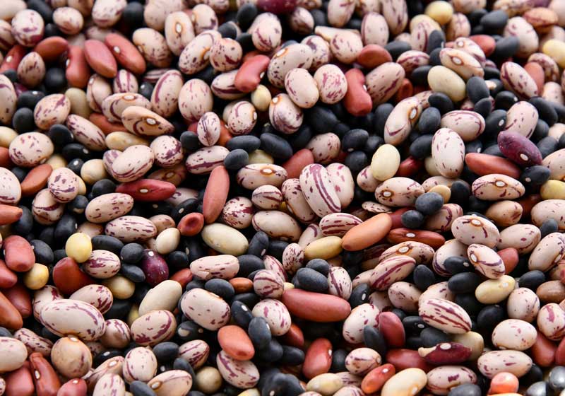 Know Your Latin American Cooking Ingredients