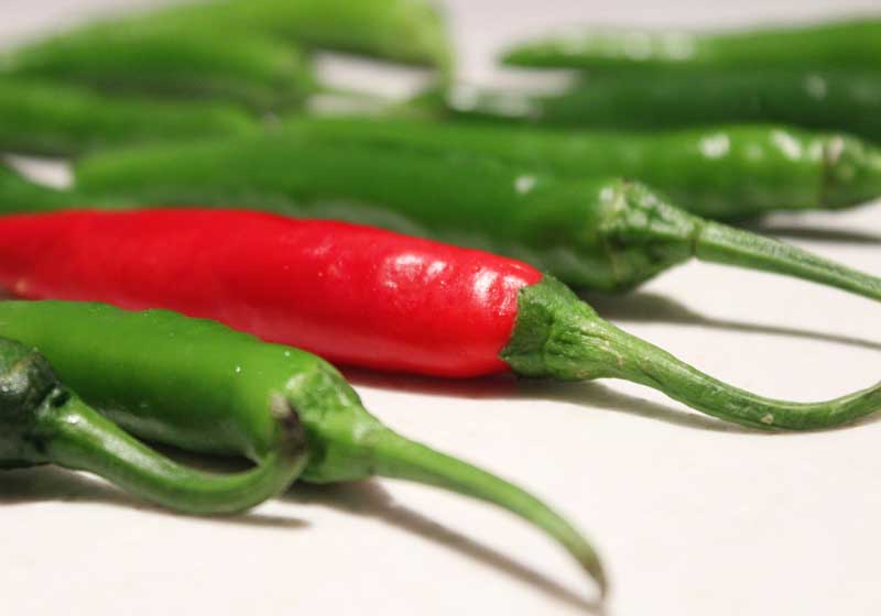 Know Your Latin American Cooking Ingredients