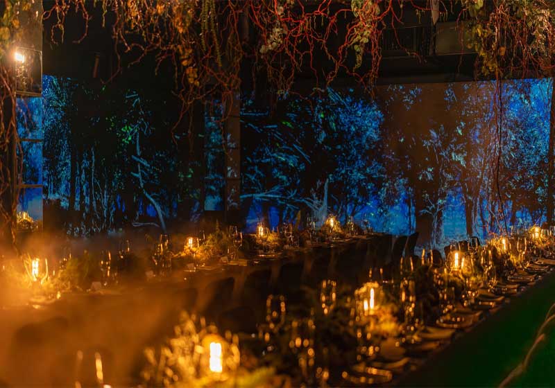 Illuminate Adelaide 2025: Where the Lights are Bright and the Bites are Better