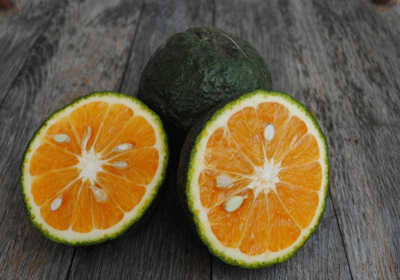Essential Filipino Cooking Ingredients and What They Are Used For