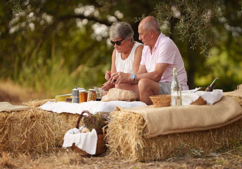 Bask in the Glow of Sunset in a Calabrian Olive Grove with Vera Italia
