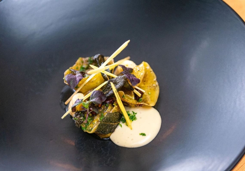 Plant-Forward Menus You’ll Crave Again