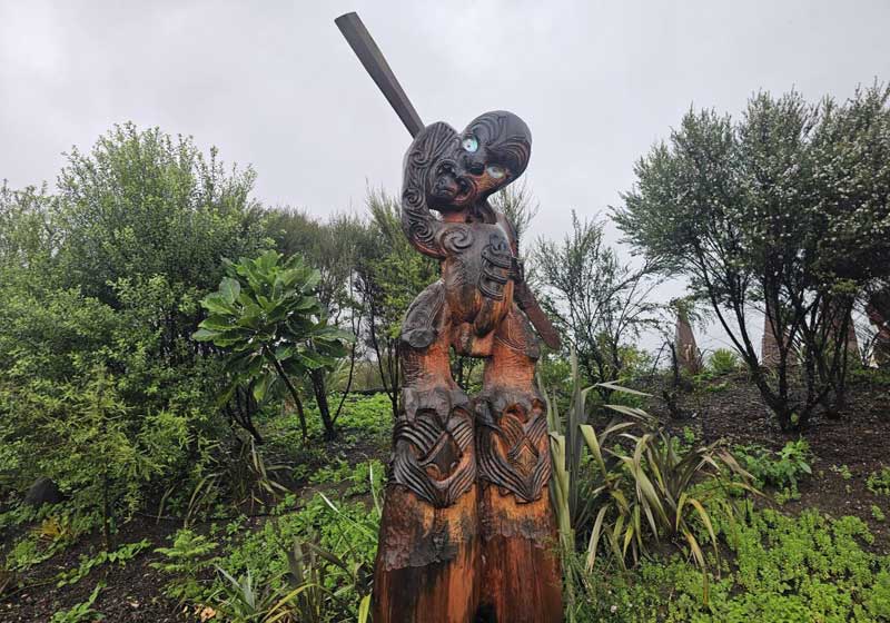 Road Trip on a Wild Northland, New Zealand Adventure