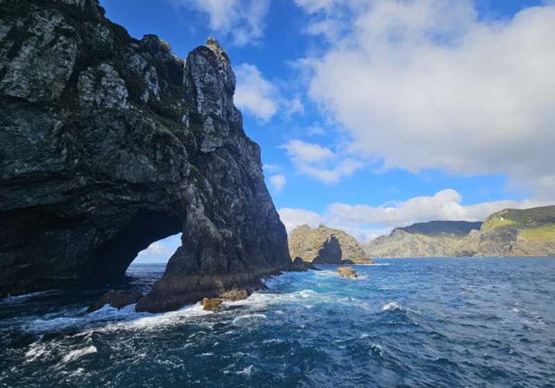 Road Trip on a Wild Northland, New Zealand Adventure