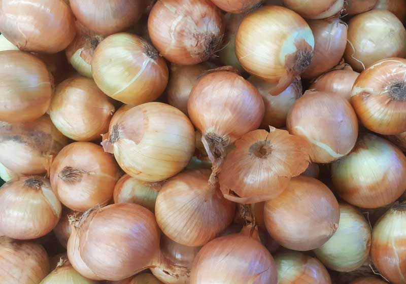 Fresh and In Season + 3 Recipes