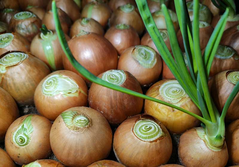 Fresh and In Season + 3 Recipes