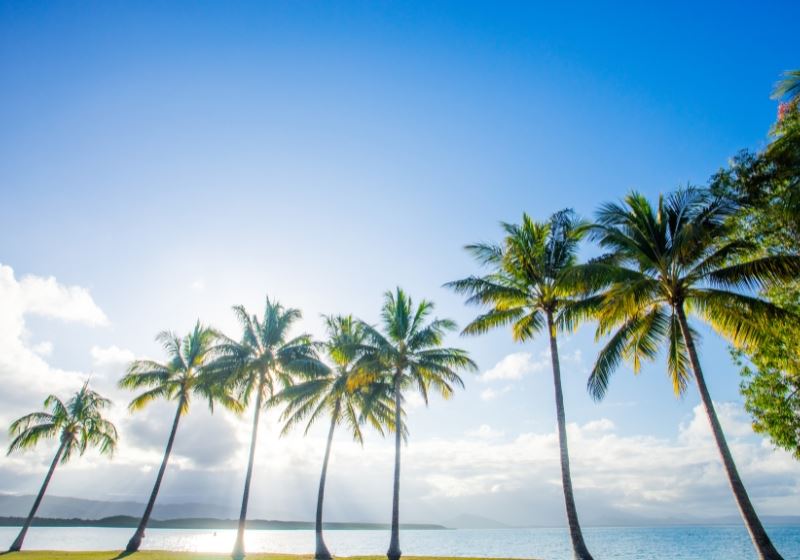 Long Weekend: Port Douglas Edition