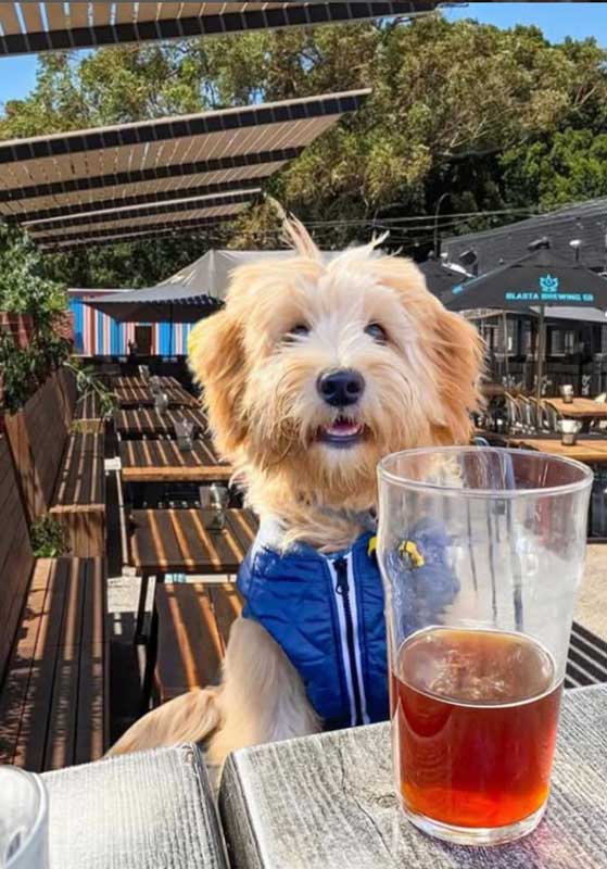 Why the Local is Back: Community, Cuisine and the Casual Return of the Sunday Session