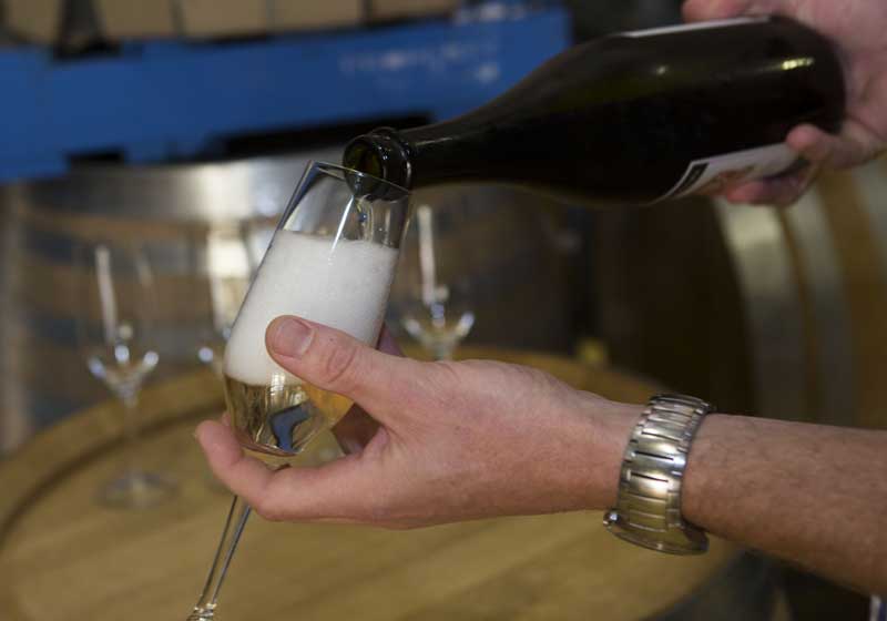 Savour the Season: Canberra’s Top Truffle Dining Experiences