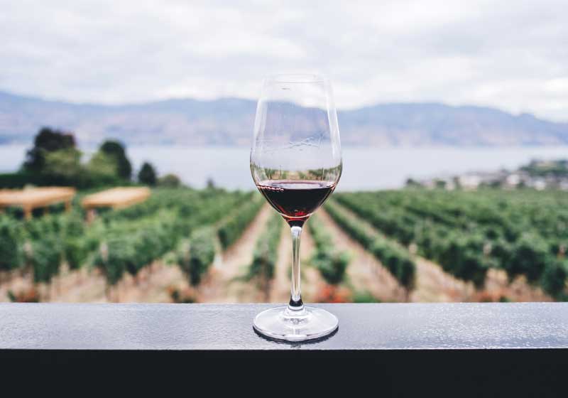 Serious About Wine? You Need to Be at WineTech 2025