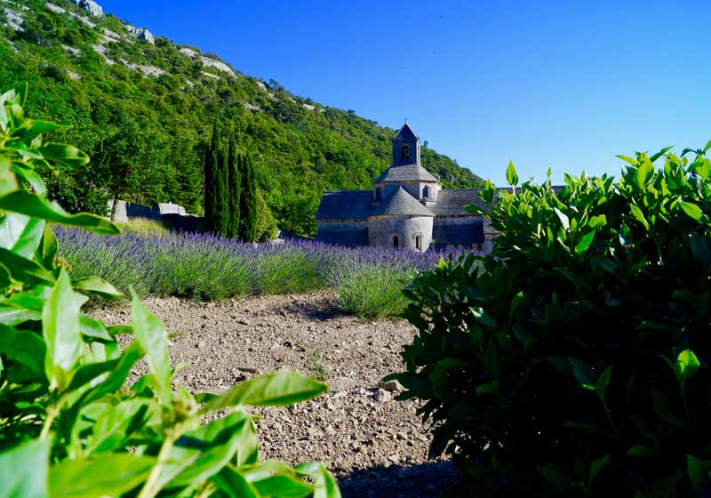 French Cuisine: Rustic, Real and Reimagined