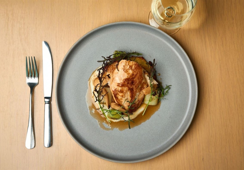 Pet-Friendly Places to Eat (That Humans Will Love Too)