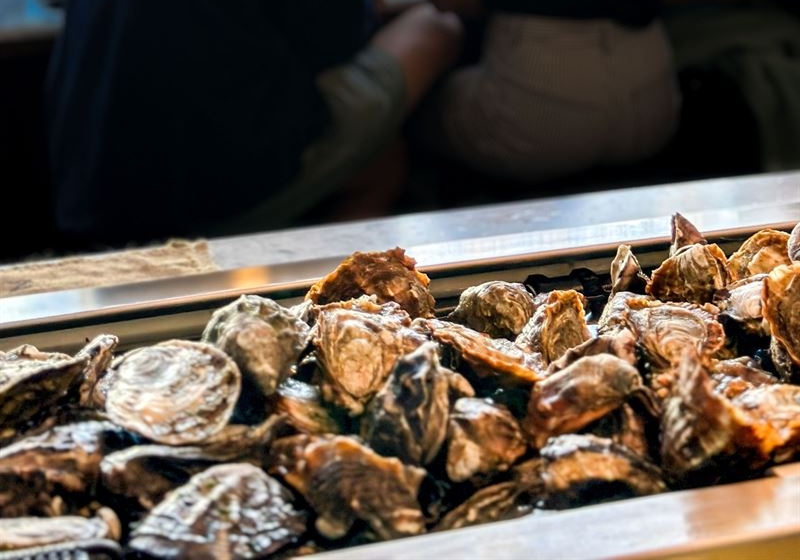 The Best Catch Across Cuisines