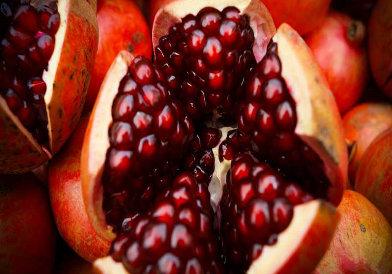 Ingredients that Feel Like a Holiday