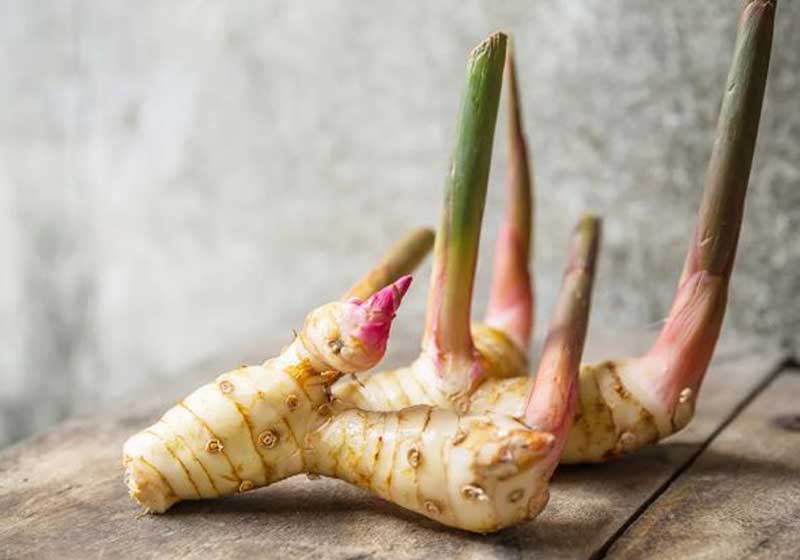 Know Your Thai Ingredients and How to Use Them