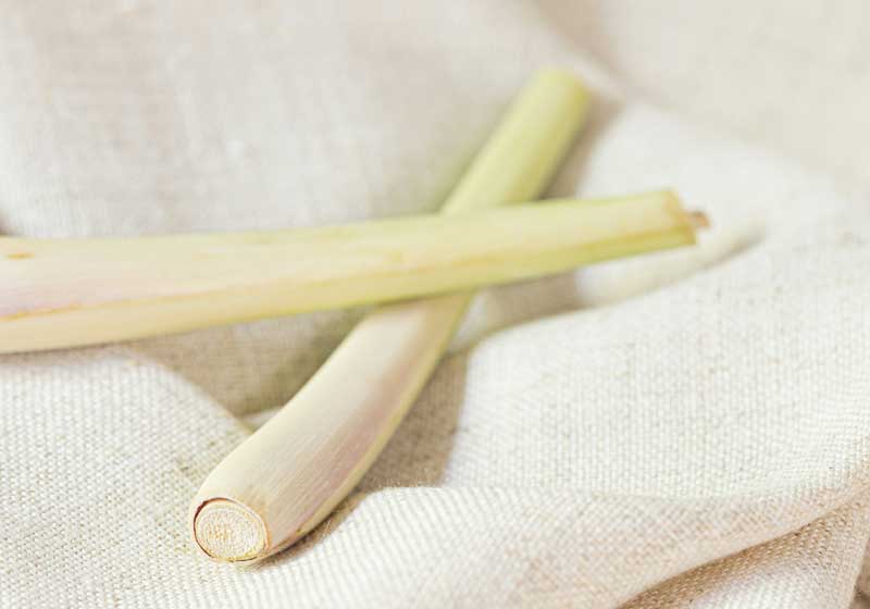 Know Your Thai Ingredients and How to Use Them