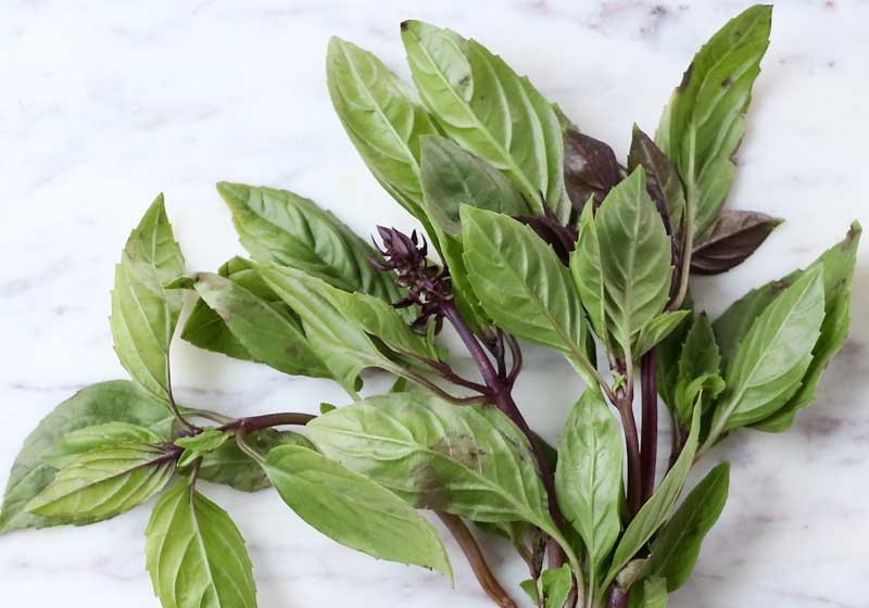 Know Your Thai Ingredients and How to Use Them