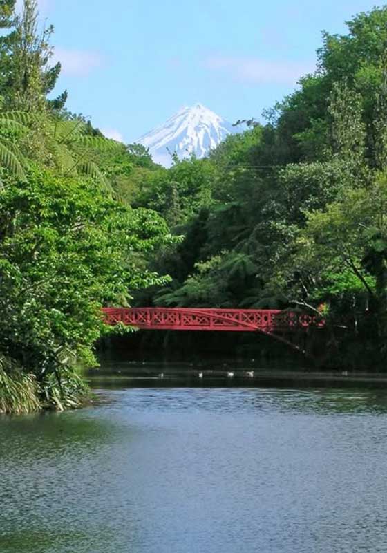 Spring into Aotearoa for a Showcase of Natural Beauty