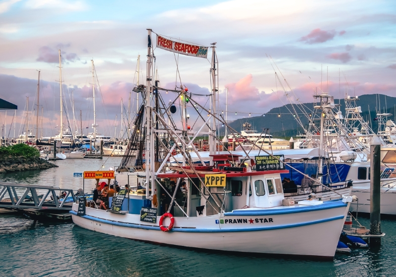 48 Hours in Cairns: Everything You Need to See, Eat and Do