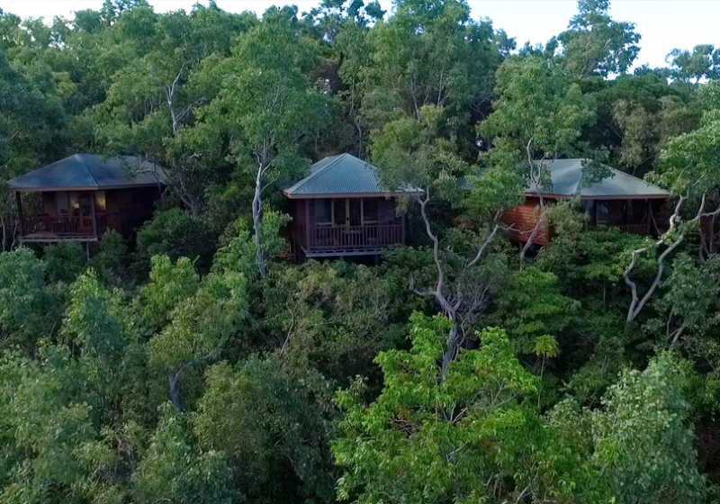 Eco-Luxury Meets Nature at Thala Beach Nature Reserve, Port Douglas