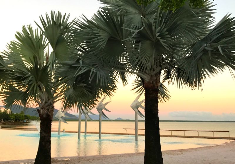 The Ultimate Daintree Rainforest Road Trip: Natural Wonders, Wildlife & Eco-Luxury Escapes