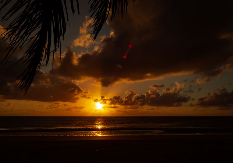 The Ultimate Daintree Rainforest Road Trip: Natural Wonders, Wildlife & Eco-Luxury Escapes